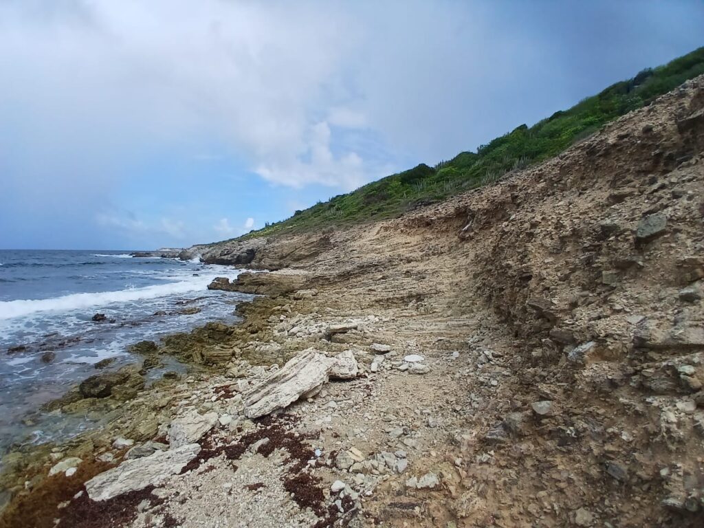 Coast trail