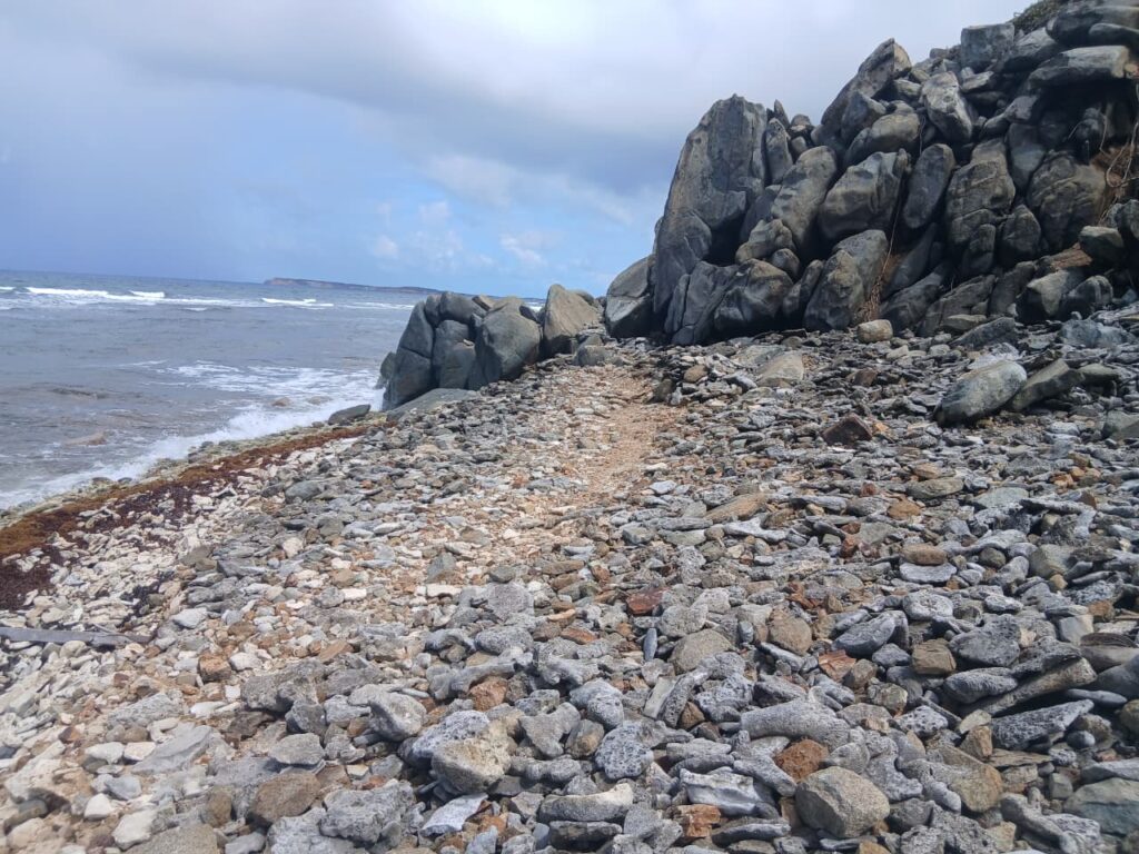 Coast trail