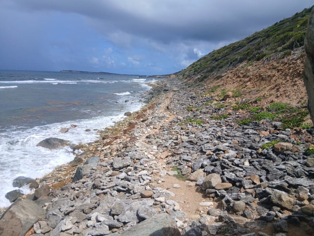 Coast trail