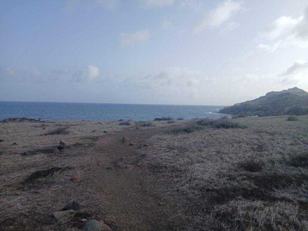 End of trail by natural pool