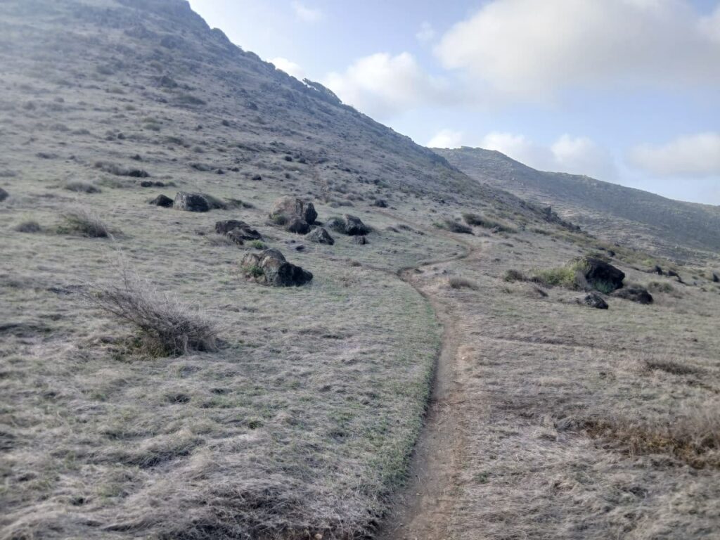 Follow the trail