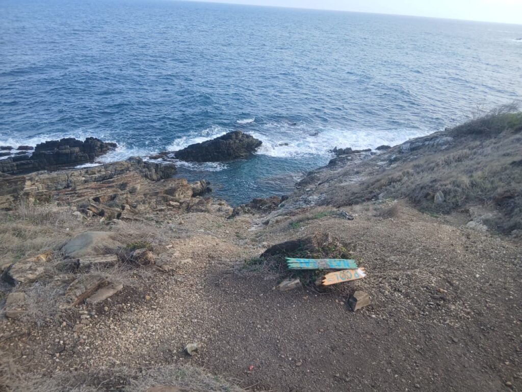 Natural Pool
