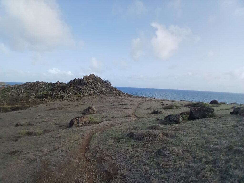 Trail